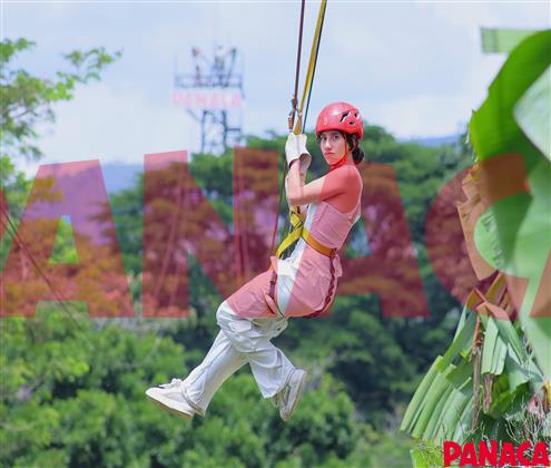 80128503