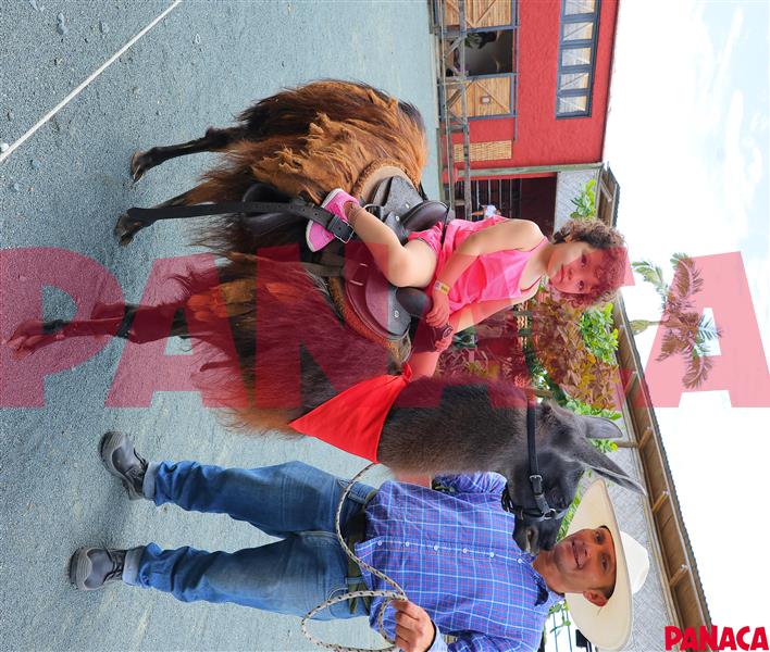 35121857