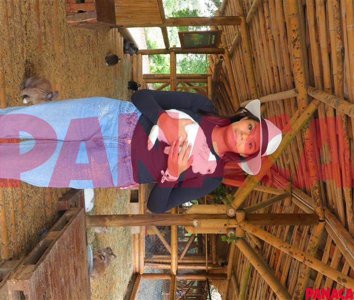 65428331