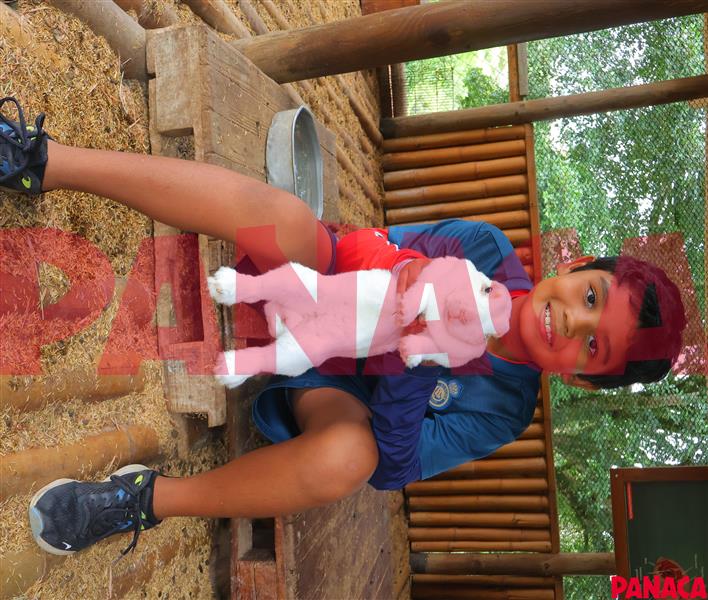 65428304