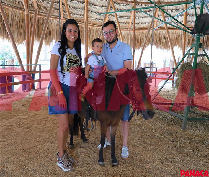 30176453