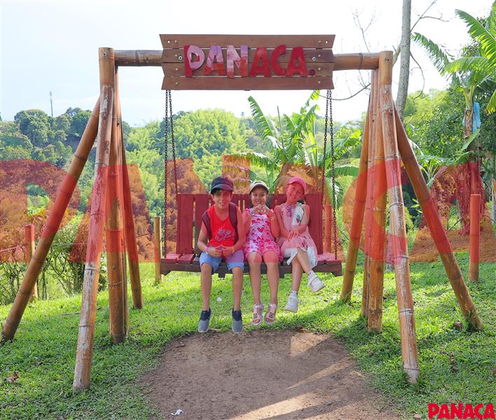 45160947