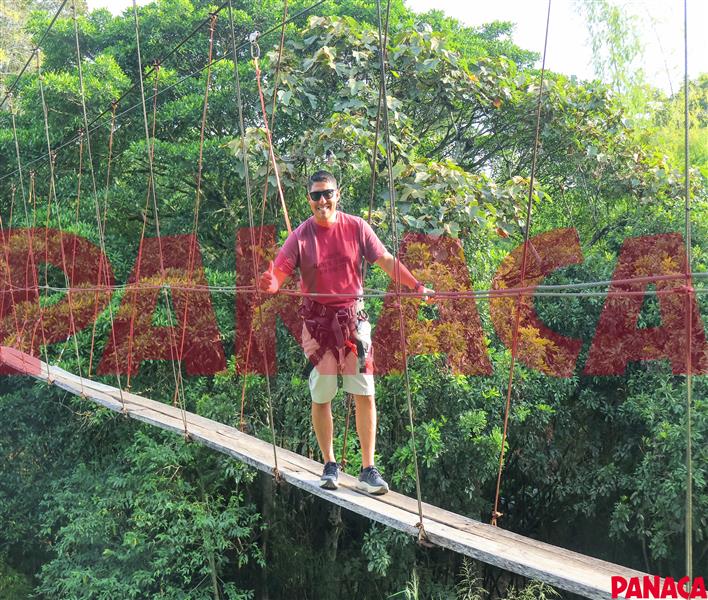 29134041