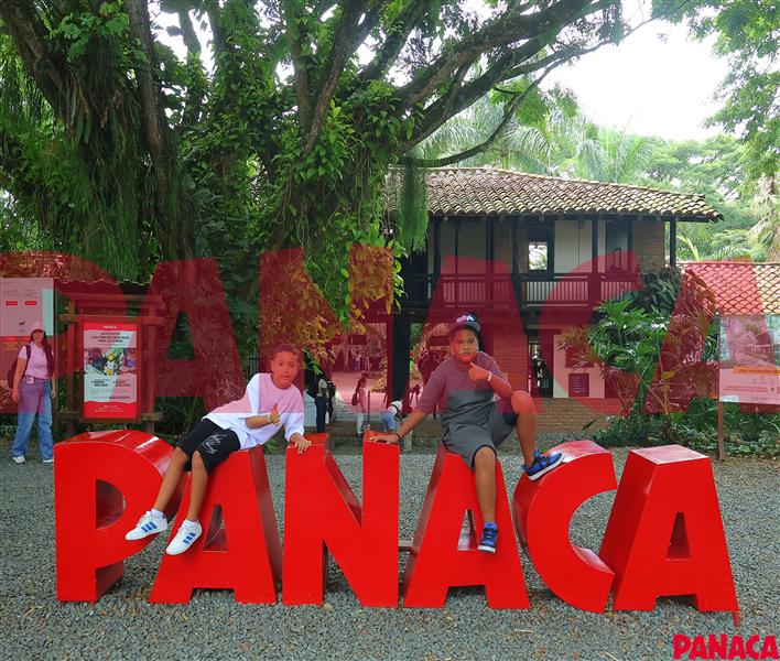 15125932