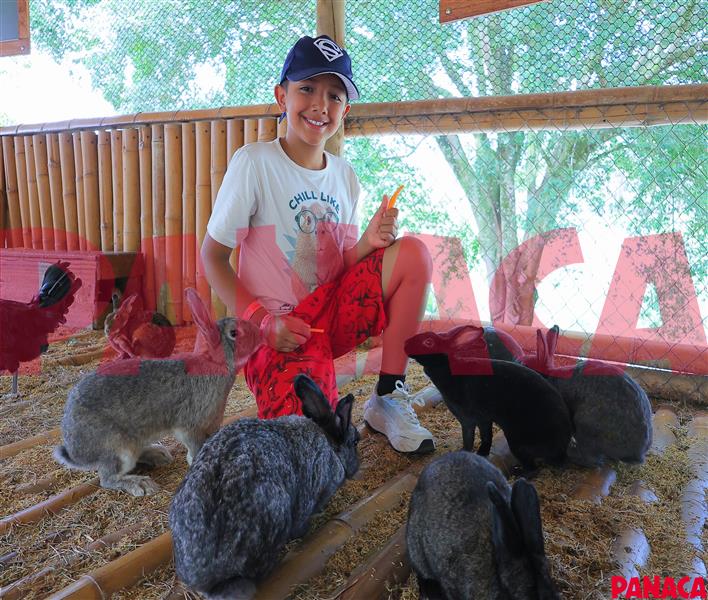 68014569