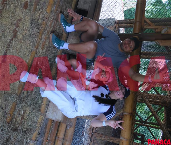 65428547