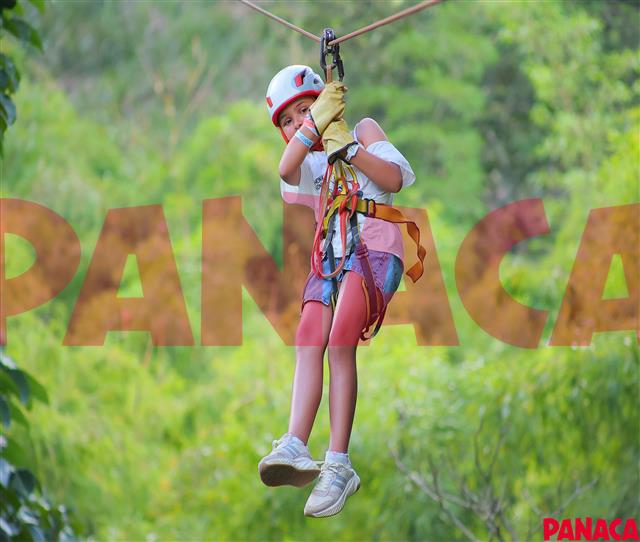 65428420