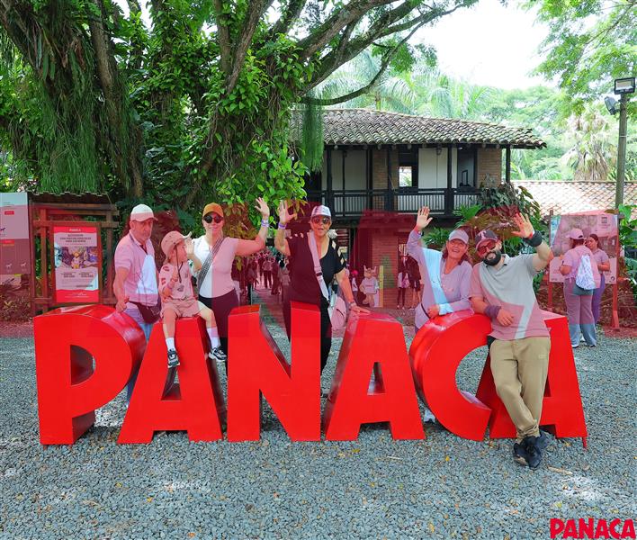31051985