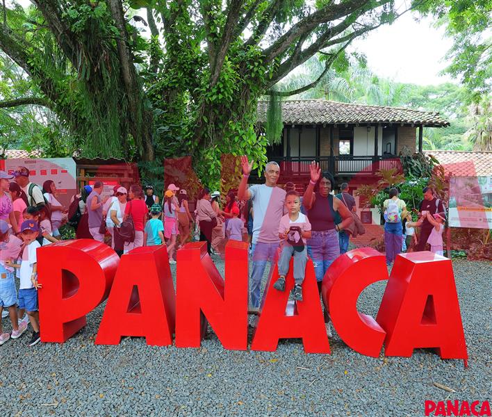 50192444
