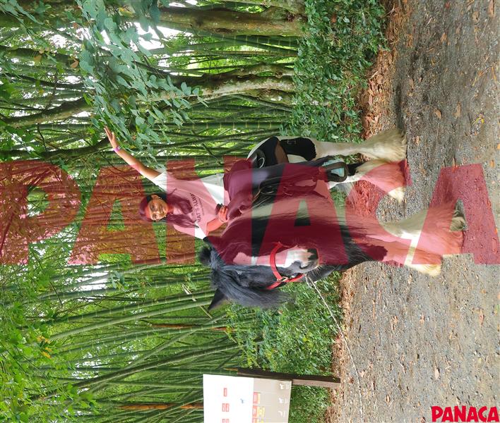 50192821