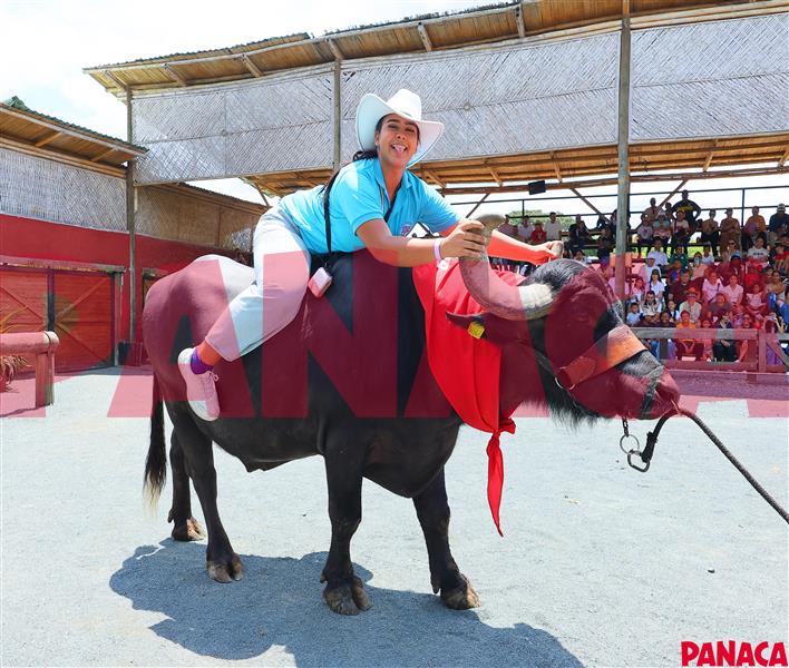 50192937