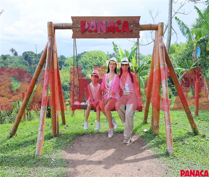 50193129