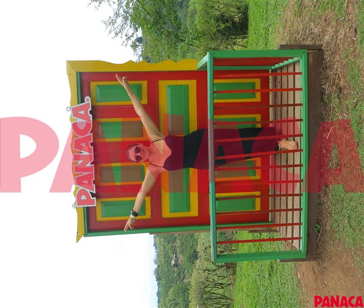 70150202
