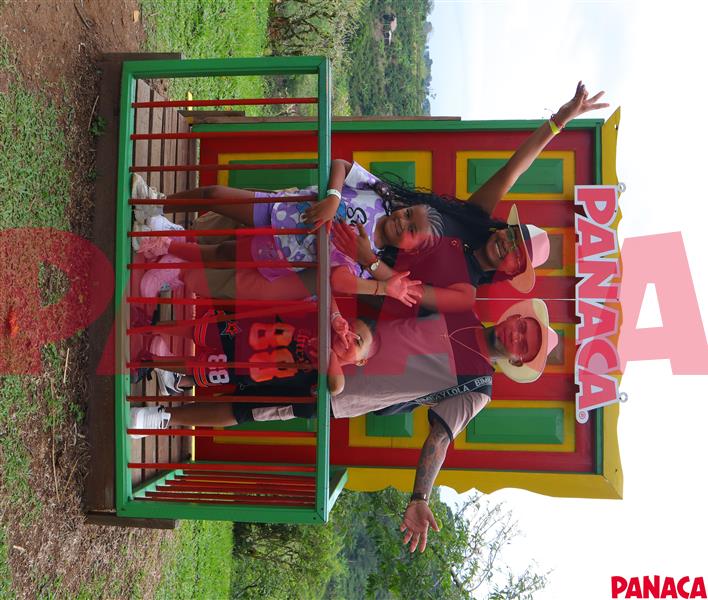 80116697
