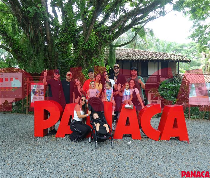 33017461