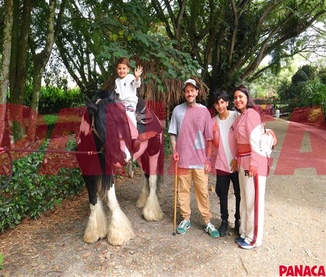 80118419