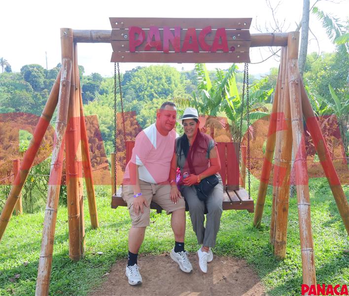 33017328