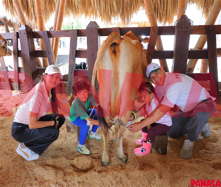 30176080
