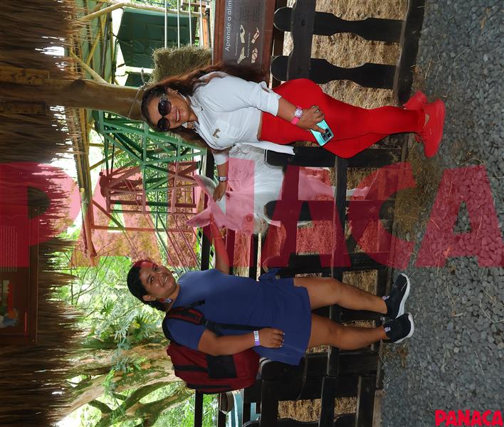 33016783