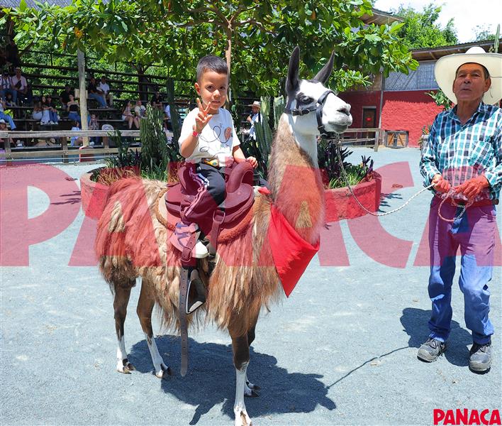 33018776