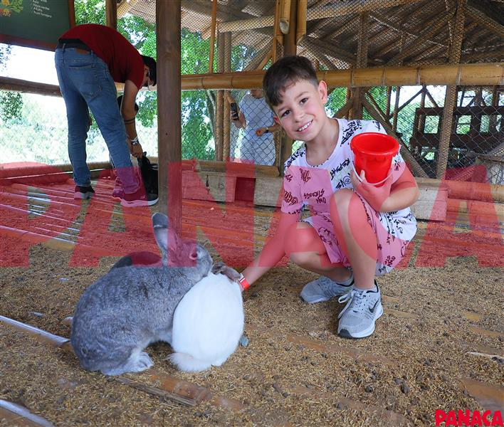 28060678