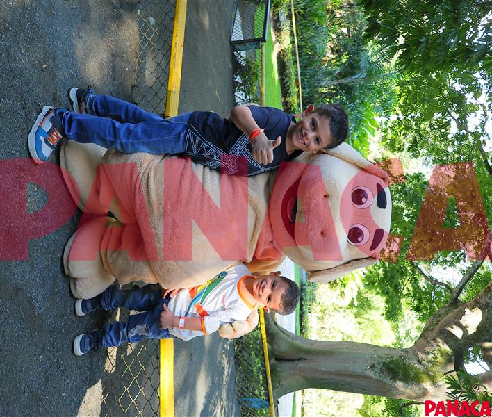 33018753