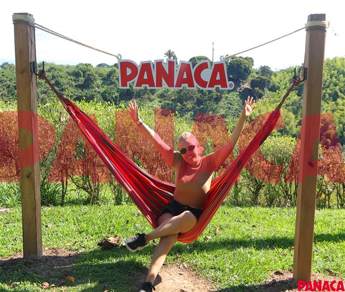 33018070