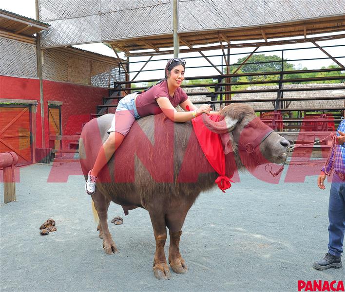 35122290