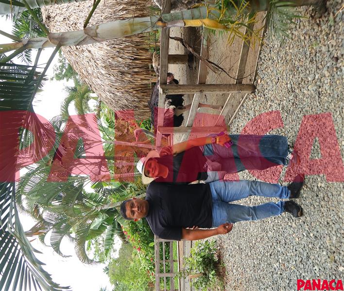 80117982