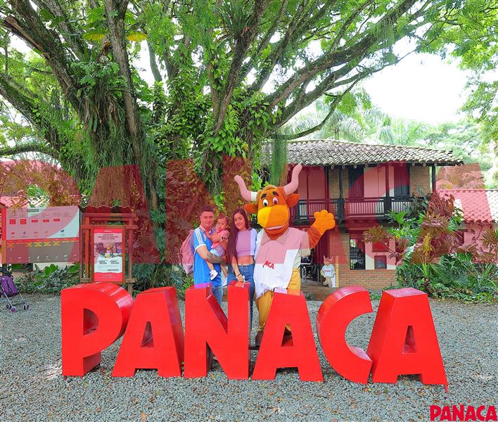 70150062