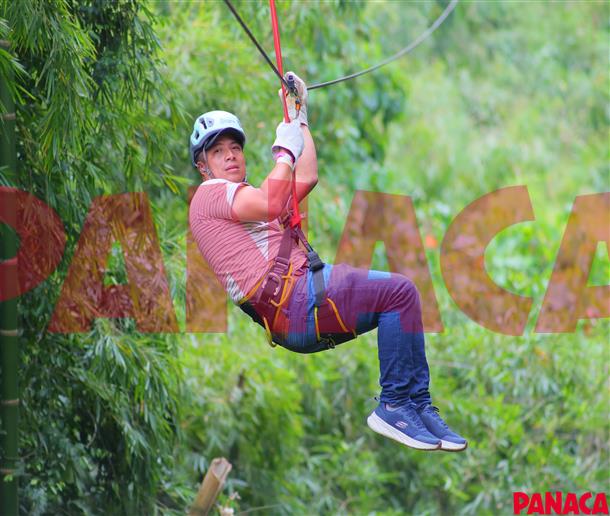 23121987