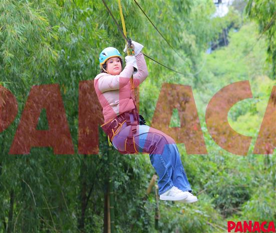 23121987