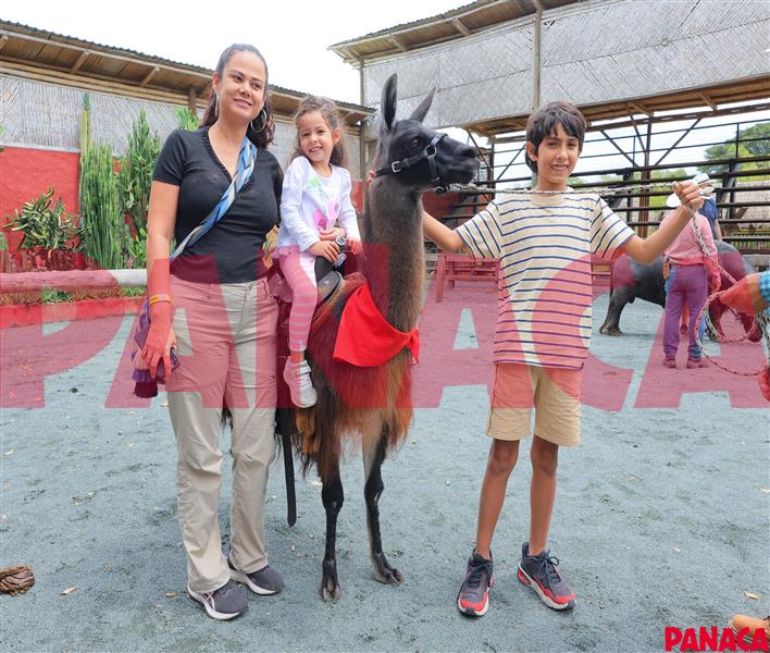 30175976
