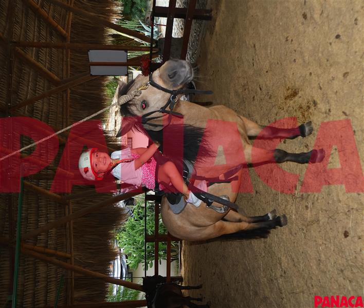 15125678