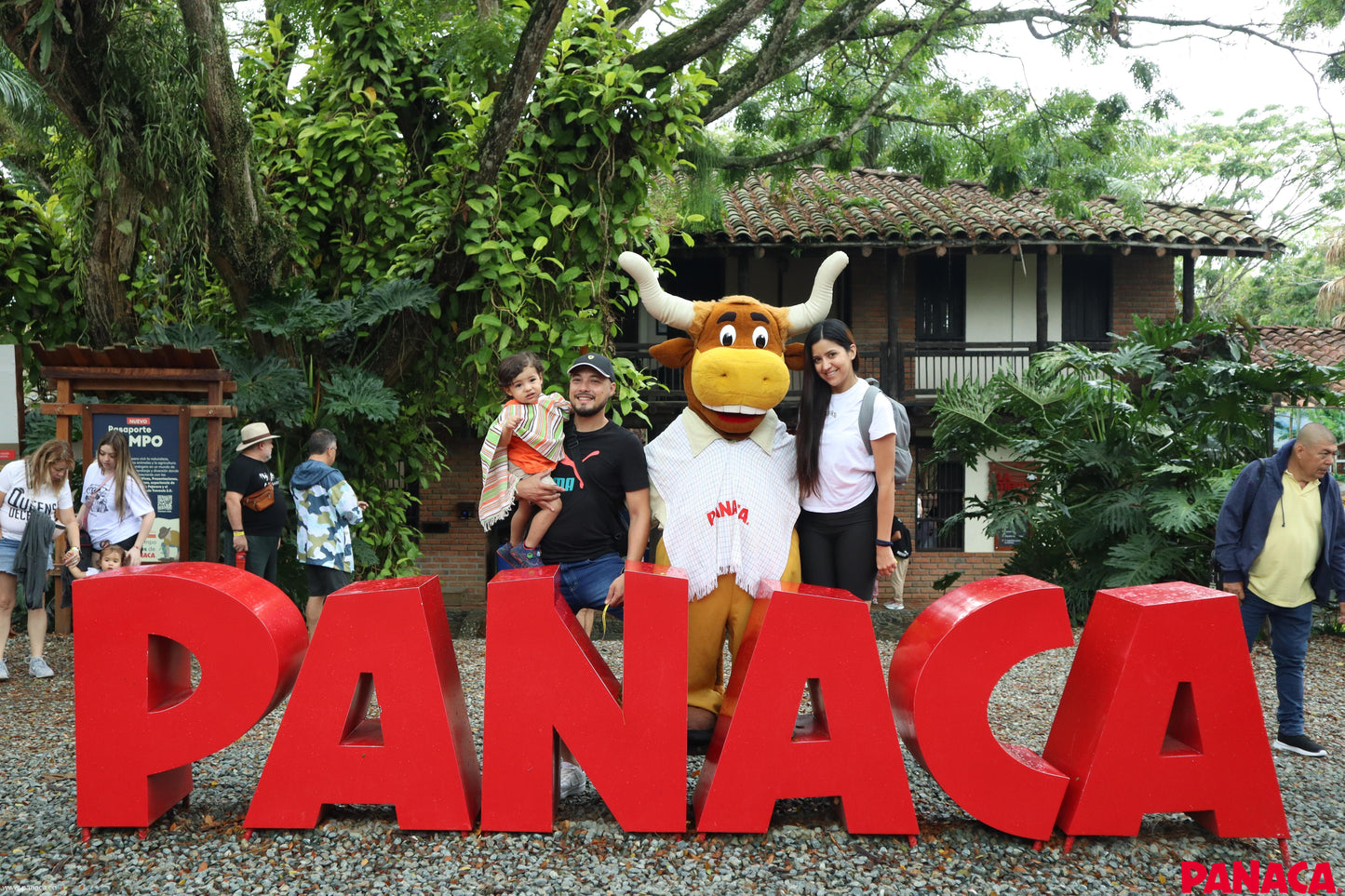 Foto banner